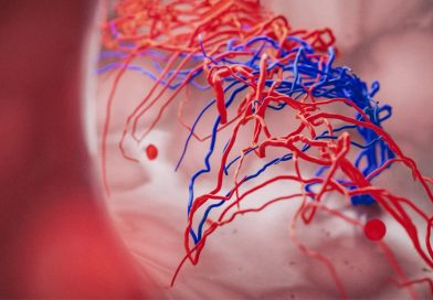 Los organoides humanos creados en laboratorios ahora pueden generar sus propios vasos sanguíneos