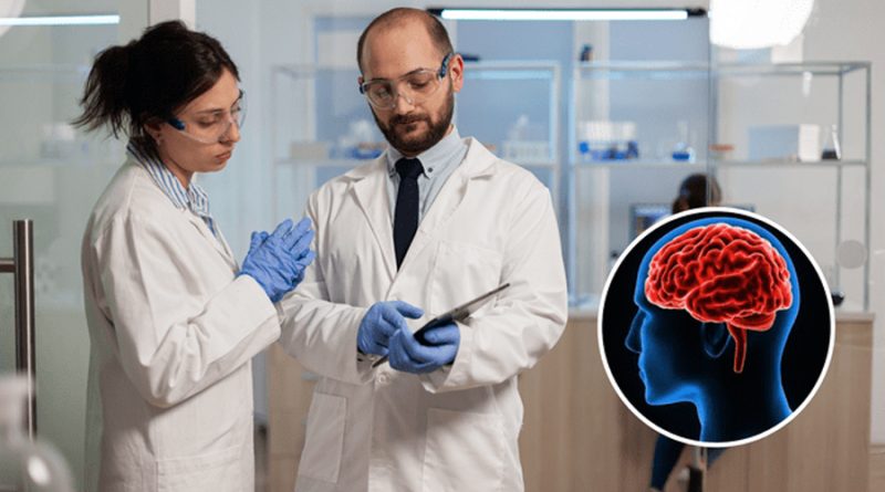 Científicos de Inglaterra logran identificar cómo el cerebro humano diferencia lo real de lo ficticio
