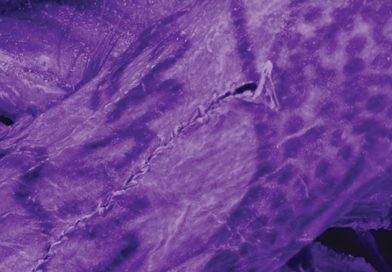 Intrincados tatuajes revelados en una momia congelada de 2.000 años