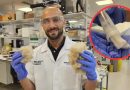 Pasta dental hecha con cabellos podría reparar la dentadura, según científicos del Reino Unido
