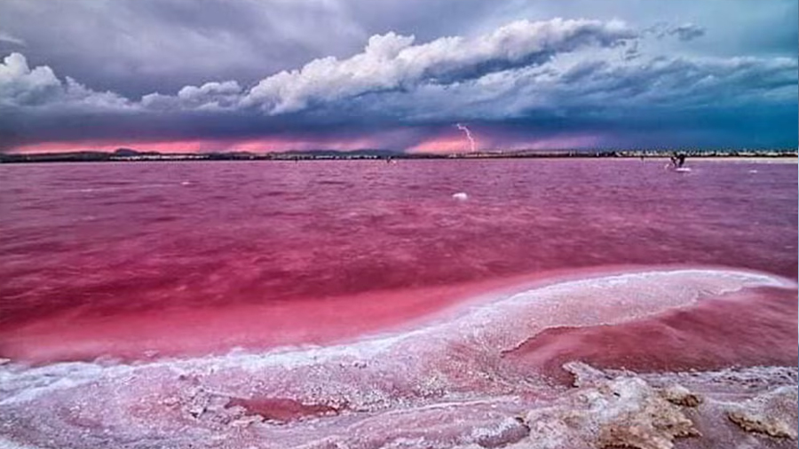 Entre el asombro y la ciencia: así es el lago Masazir, el sorprendente tesoro rosado escondido en Azerbaiyán