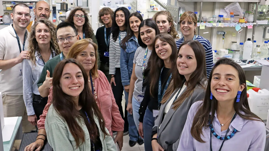 Científicas vascas encuentran una nueva vía para tratar un cáncer de hígado raro y agresivo: ‘Para muchos enfermos llegará tarde, pero es esperanzador’