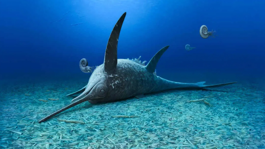 Un nuevo ictiosaurio: un ‘monstruo marino’ con hocico de pez espada emerge del Jurásico alemán