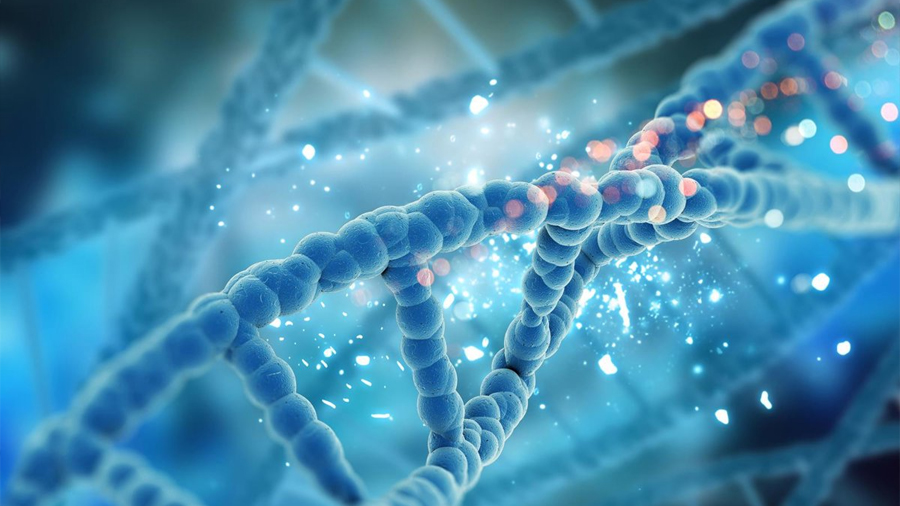 Crean un catálogo de ‘cicatrices’ en el ADN que ayudará a definir tratamientos personalizados contra el cáncer
