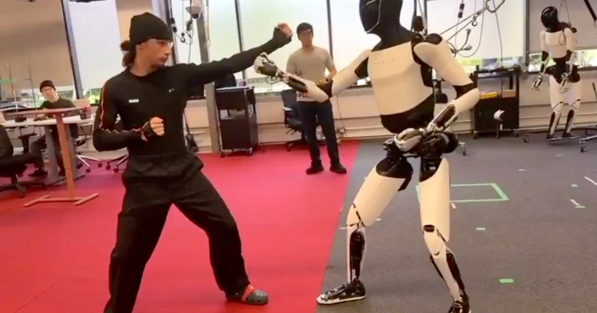 Tesler Humanoide Robot tira de algunos movimientos de kung fu hábiles