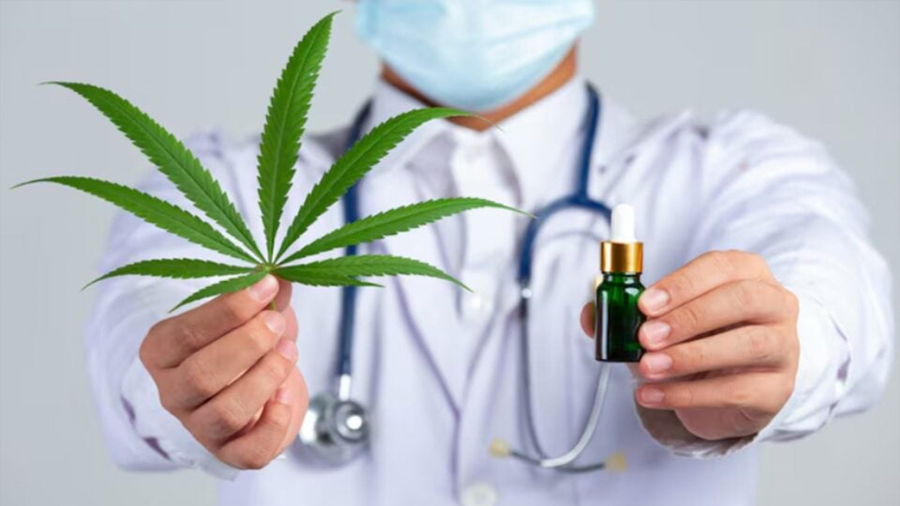 Los efectos del cannabis medicinal en los pacientes con diabetes: qué se sabe y qué no