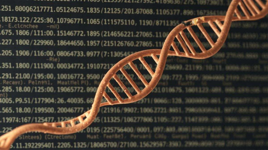 Investigadores descubren una nueva forma de medir la edad biológica: ‘Podría mejorar la detección de enfermedades’