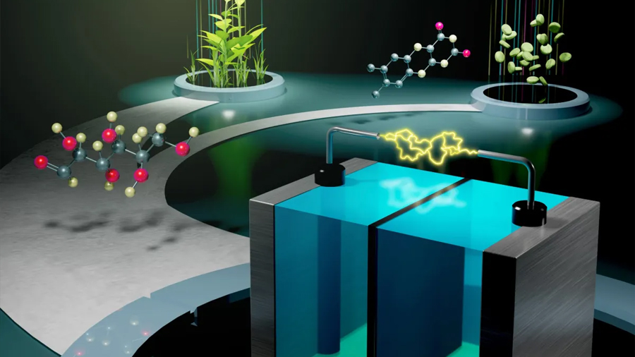 Crean un prototipo de batería de ‘glucosa’ inspirada en el metabolismo del cuerpo humano