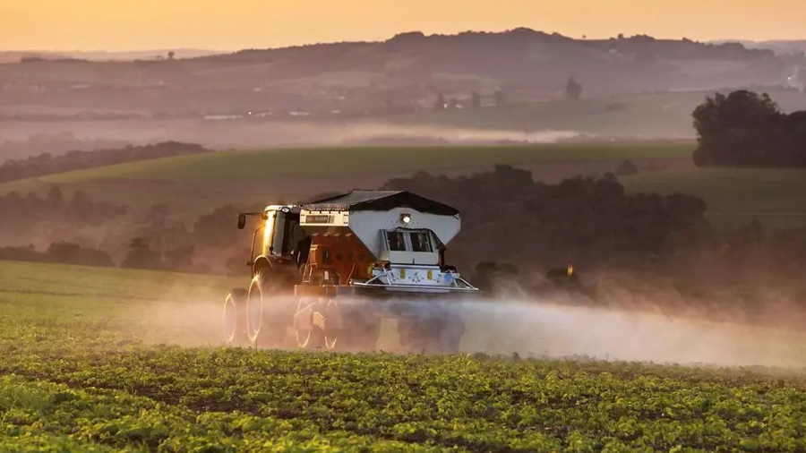 Descubren un mecanismo vegetal que podría evitar el uso de fertilizantes en los cultivos