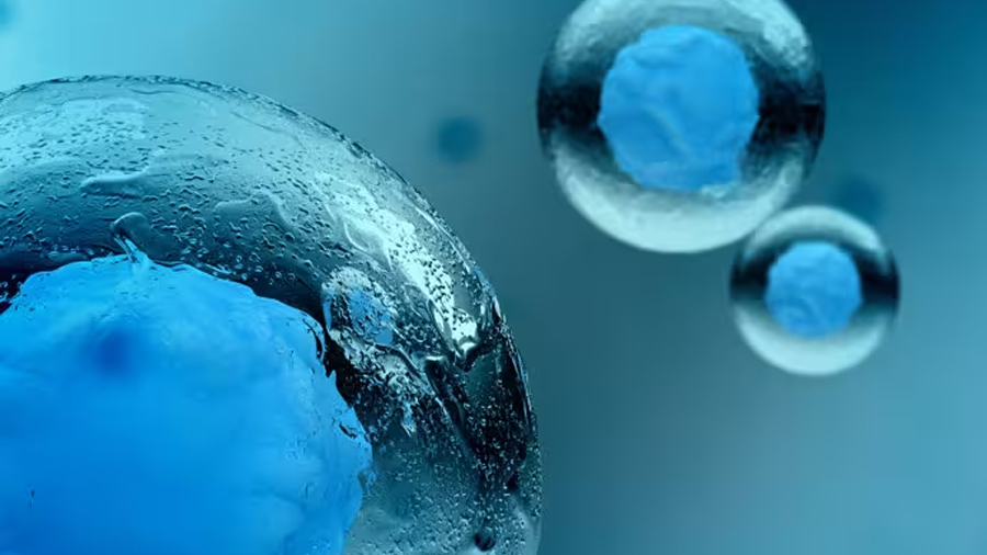 Cómo una joven con cáncer logró preservar su fertilidad gracias a un método innovador que revoluciona la oncofertilidad