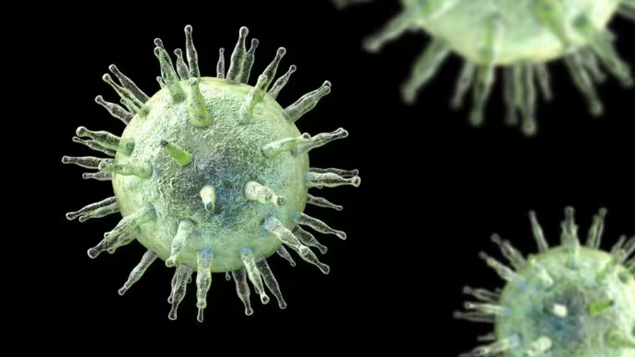 Investigadores descubren cómo el virus de Epstein-Barr puede desencadenar lupus