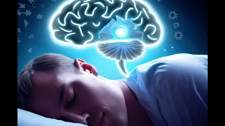 El cerebro se duerme repentinamente, un estudio revelador