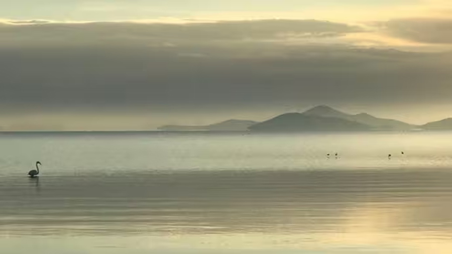 Descubren una nueva fuente de mercurio ‘hasta ahora ignorada’ en la laguna del Mar Menor en Murcia