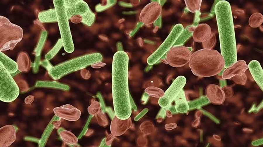 La OMS advierte que la resistencia antimicrobiana causa más de un millón de muertes cada año