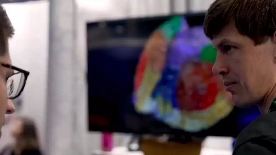 Científicos construyen un ‘cerebro de ratón’ digital para estudiar Alzheimer y epilepsia