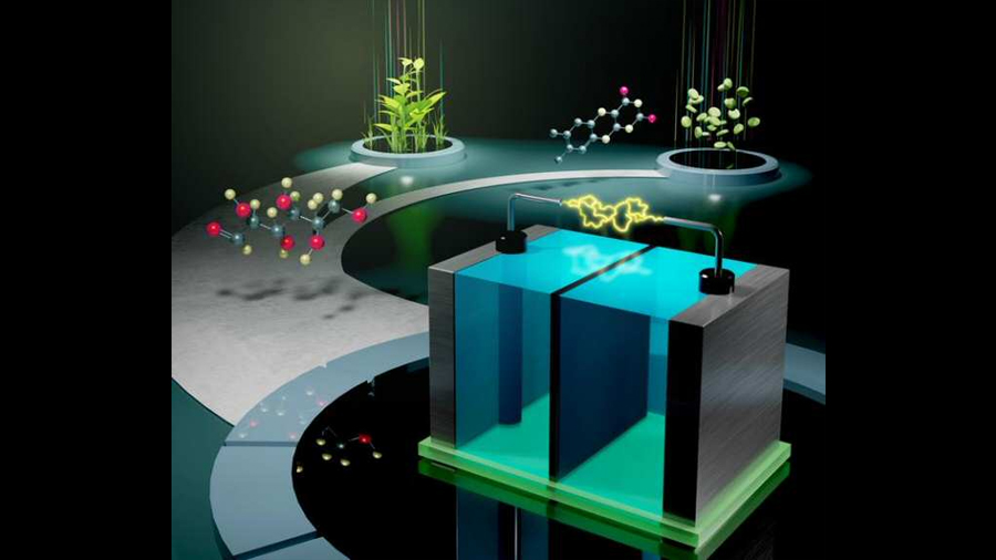 Batería de glucosa inspirada en el metabolismo humano