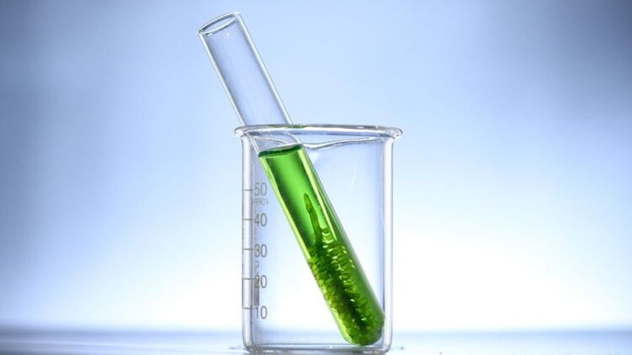 Crean un absorbente con microalgas que limpia aguas y recupera metales