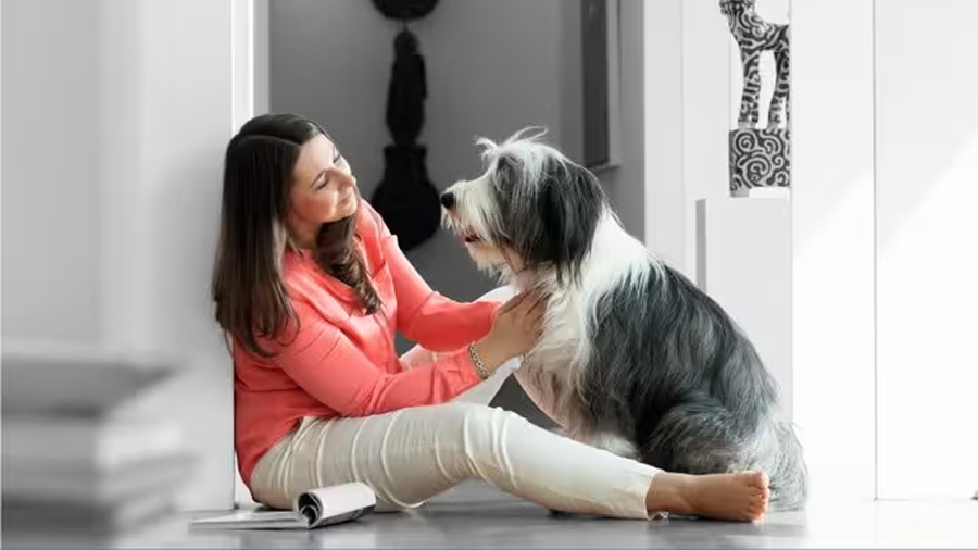 Tu perro mejora tu salud mental pero no es (solo) el afecto, el secreto está en su boca y la tuya