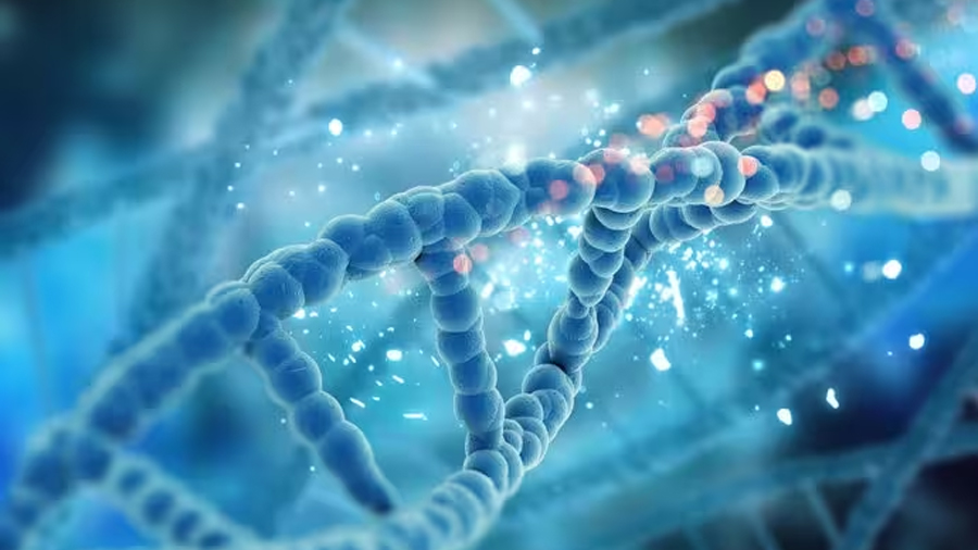 Crean un fármaco que repara el ADN y podría revolucionar la cicatrización del corazón