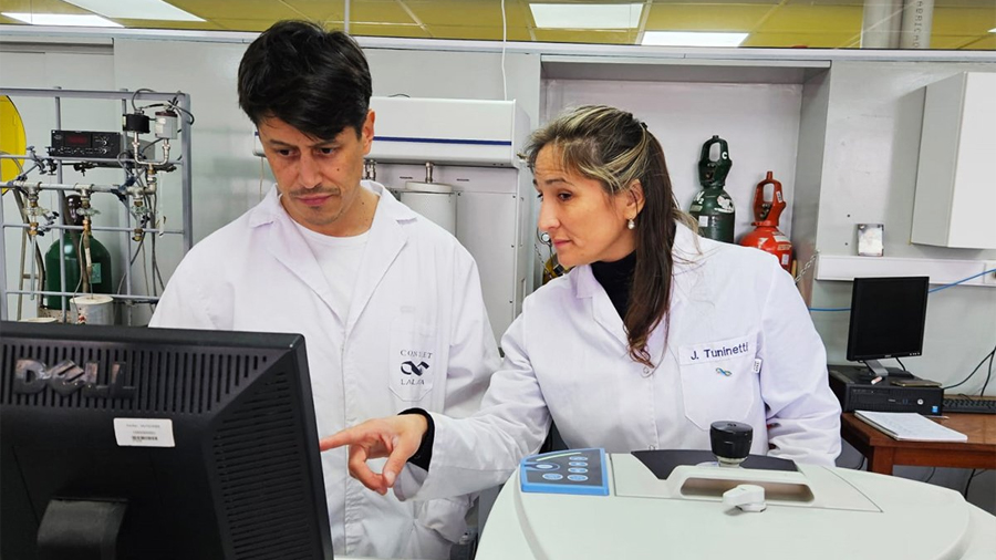 Desarrollaron un sensor que evita el desperdicio de cítricos por exceso de pesticidas