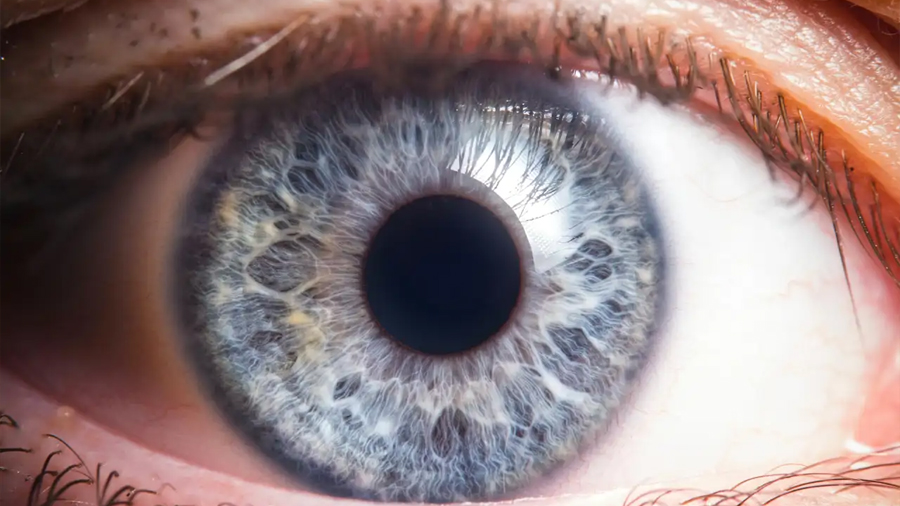 ¿Quieres saber si alguien te escucha de verdad cuando le hablas? Hay un truco infalible