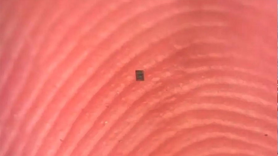 Crean el robot programable más pequeño del mundo: es más chico que un grano de sal y ‘piensa y actúa’