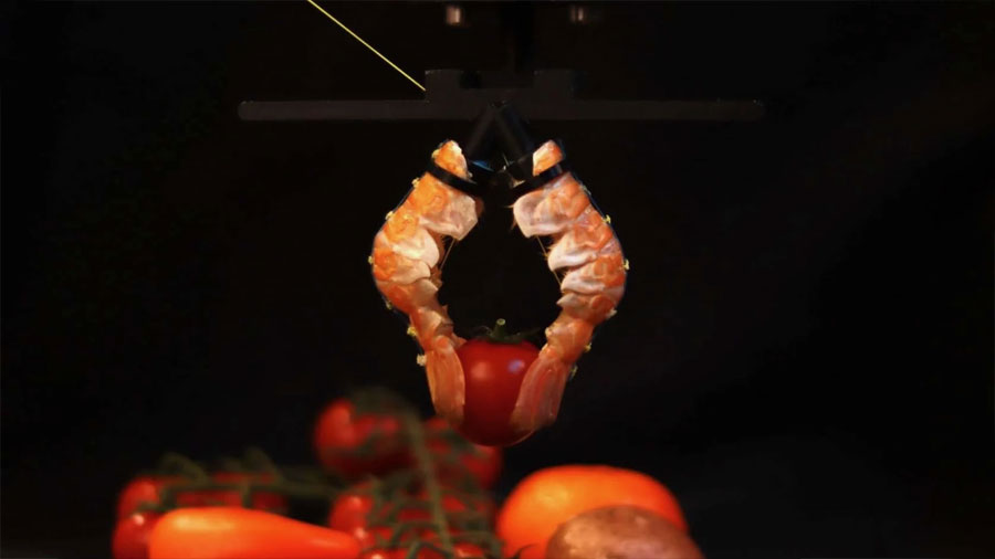 Crean una mano robótica casi humana… con un material totalmente inesperado