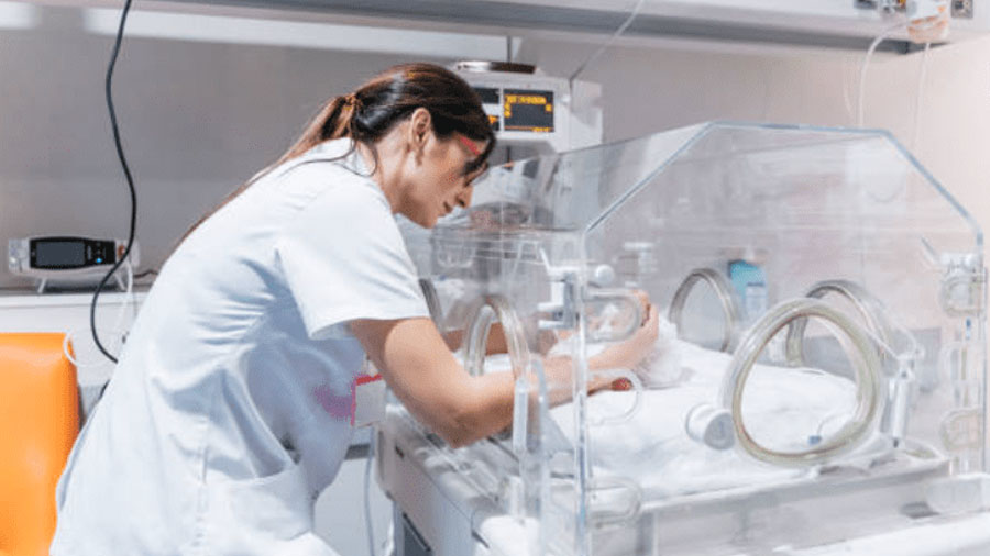 El sueño del porvenir: ciencia e incubadora