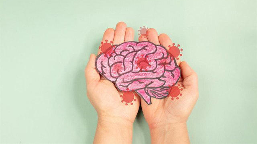 Investigadores de la UCM descubren evidencias sobre el papel de la retina como indicador temprano de Alzheimer