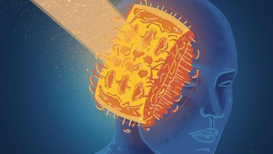 Investigadores crean ‘esponja’ que evita el dolor crónico