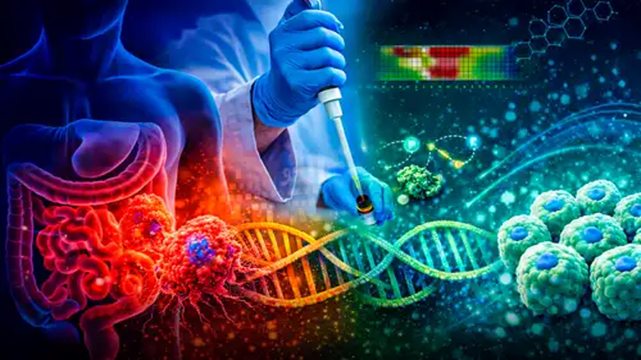 El interruptor molecular que científicos surcoreanos descubrieron para revertir células de cáncer de colon a estado normal