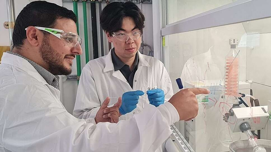 ¿Adiós a las inyecciones? Crean un ‘páncreas artificial’ que produce insulina dentro del cuerpo