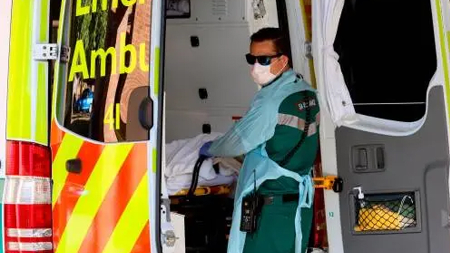 Científicos descubren la defensa inmunológica ante el COVID-19