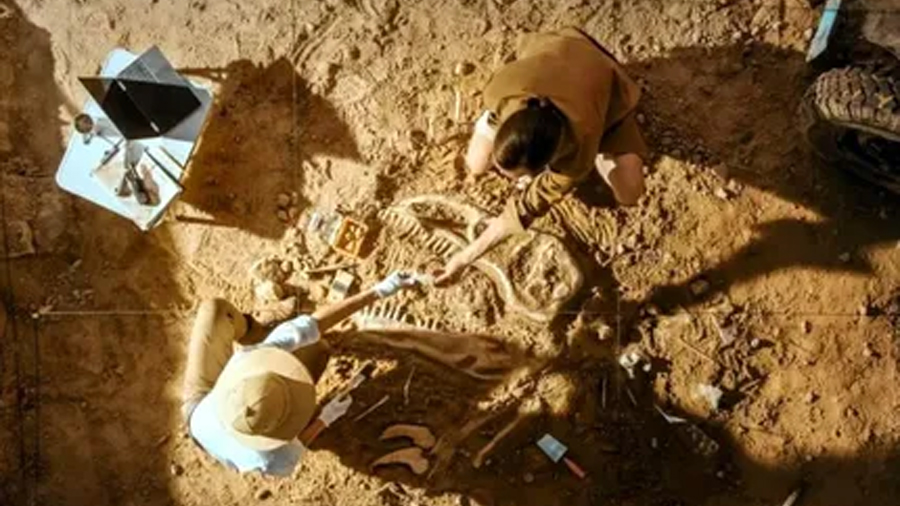 Arqueología: investigadores descubren pistas sobre la la pandemia más antigua