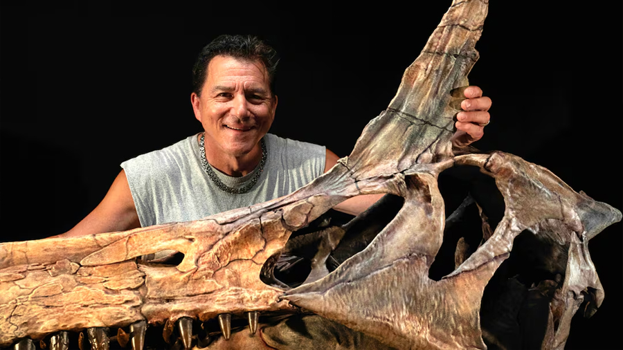 Científicos descubren una nueva especie de Spinosaurus en el Sáhara; el fósil cambia lo que se sabía sobre su hábitat