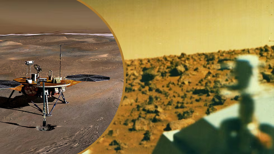 Acontecimiento en Marte trastoca a los científicos: descubren que más de 20 organismos rodearon al robot de la Nasa