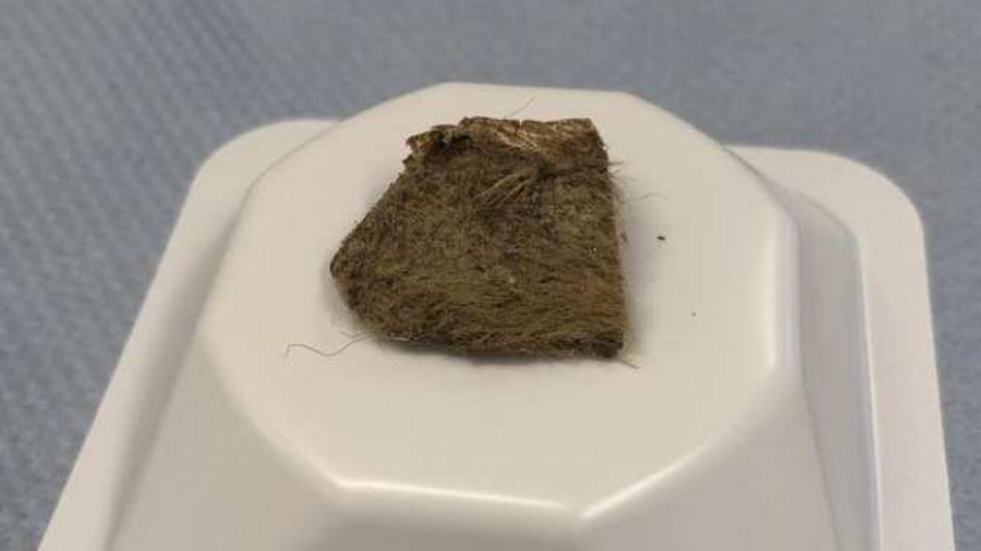 Obtienen un genoma del extinto rinoceronte lanudo en restos comidos por un lobo hace catorce mil años