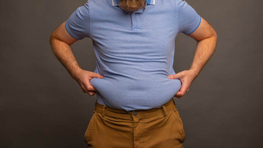 Descubren por qué la grasa visceral puede favorecer el desarrollo de la diabetes tipo 2