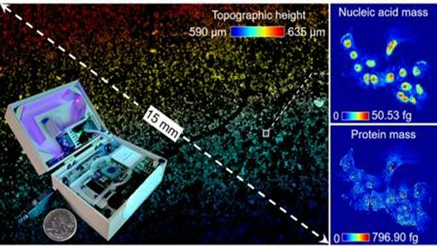Nuevo microscopio para ver moléculas directamente, sin usar tinción
