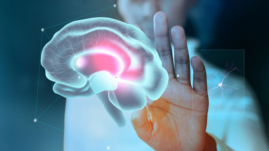 Investigadores descubren un mapa cerebral oculto que podría mejorar el tratamiento de la epilepsia