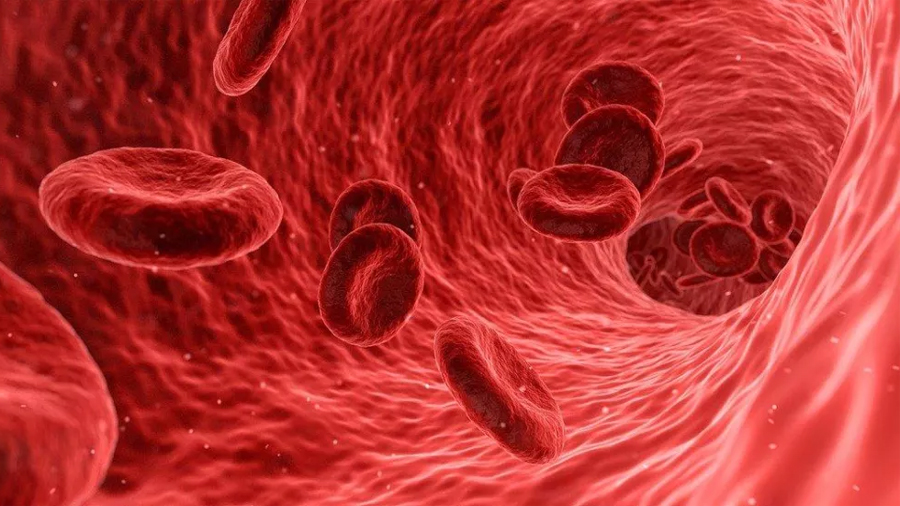 Investigadores del CEU descubren que la secuencia de infección condiciona la respuesta inmunitaria