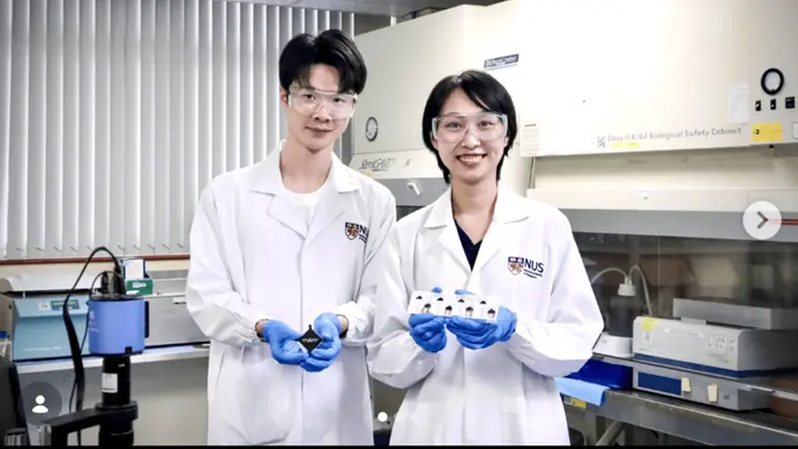 Crean un robot con músculos vivos, pero además, es el más rápido