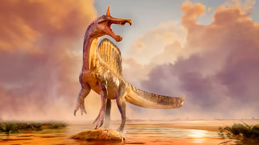 Un descubrimiento ‘maravilloso’ en el Sáhara: una nueva especie de dinosaurio de 13 metros con una cresta de colores