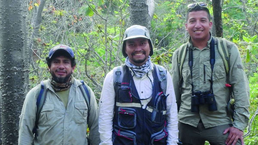 Descubren en Ecuador un nuevo árbol tras 50 años de misterio botánico