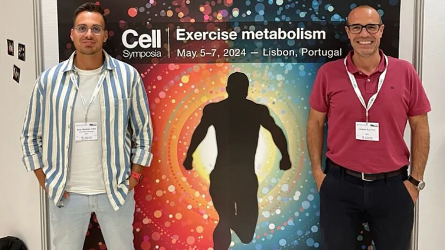 Investigadores españoles descubren una bacteria intestinal que potencia la fuerza muscular