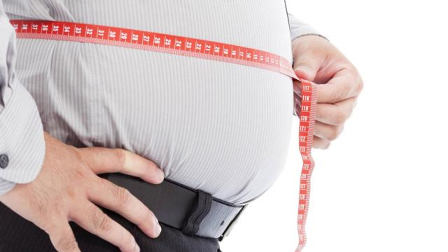 Descubren las células que hacen que las personas obesas tengan más apetito