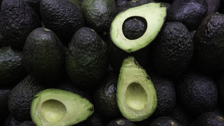 Harvard revela dieta para desacelerar el envejecimiento cerebral y cuidar la memoria