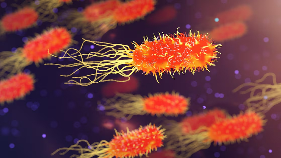 La vida se impone: investigadores encuentran bacterias comunes en uno de los lugares más contaminados por radiación de la Tierra y no es Chernóbil