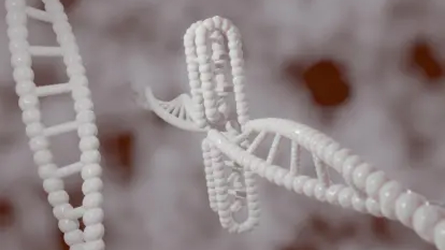 Crean robots de ADN capaces de moverse por el cuerpo y atacar enfermedades directamente dentro de nuestro organismo