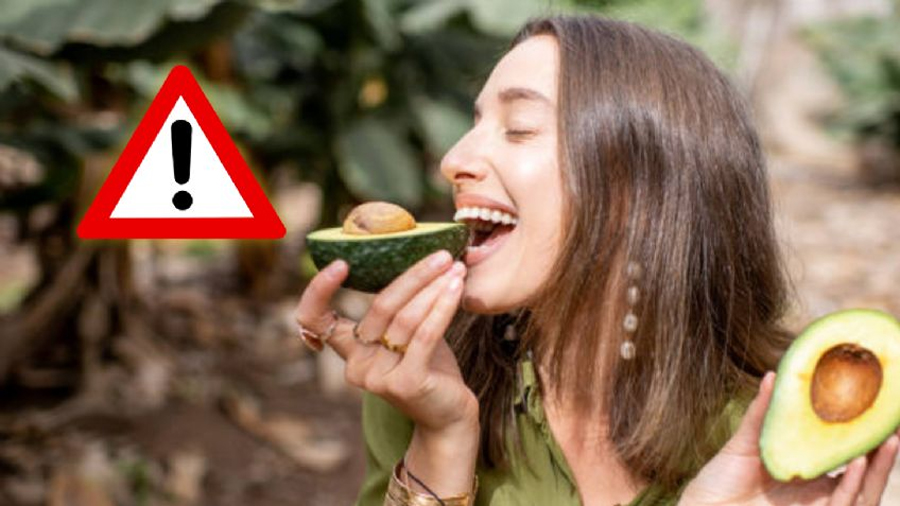 Qué pasa en tu cuerpo si comes aguacate todos los días, según la ciencia